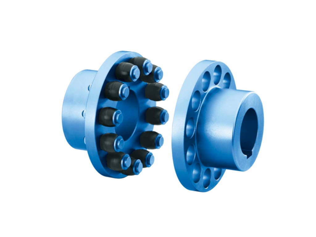 Acoplamientos flender Rupex